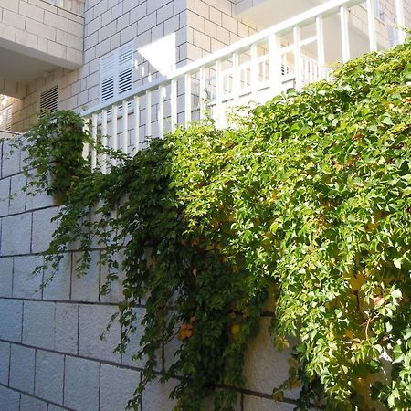 Central Apartment دوبروفينك المظهر الخارجي الصورة