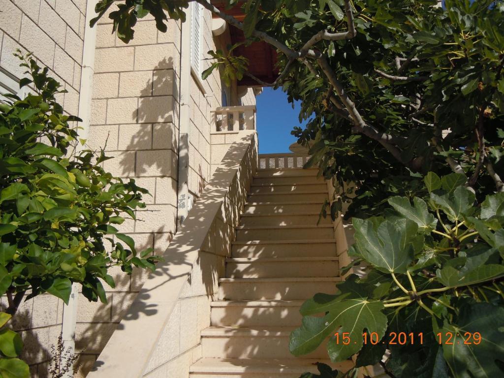 Central Apartment دوبروفينك الغرفة الصورة