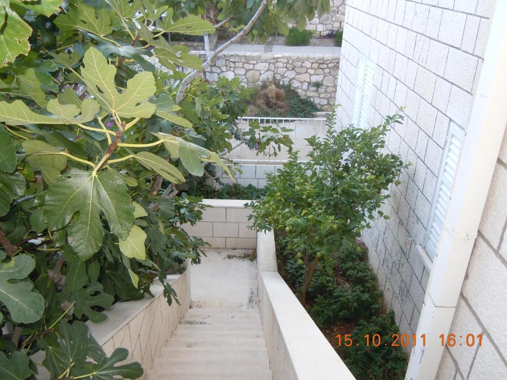 Central Apartment دوبروفينك الغرفة الصورة