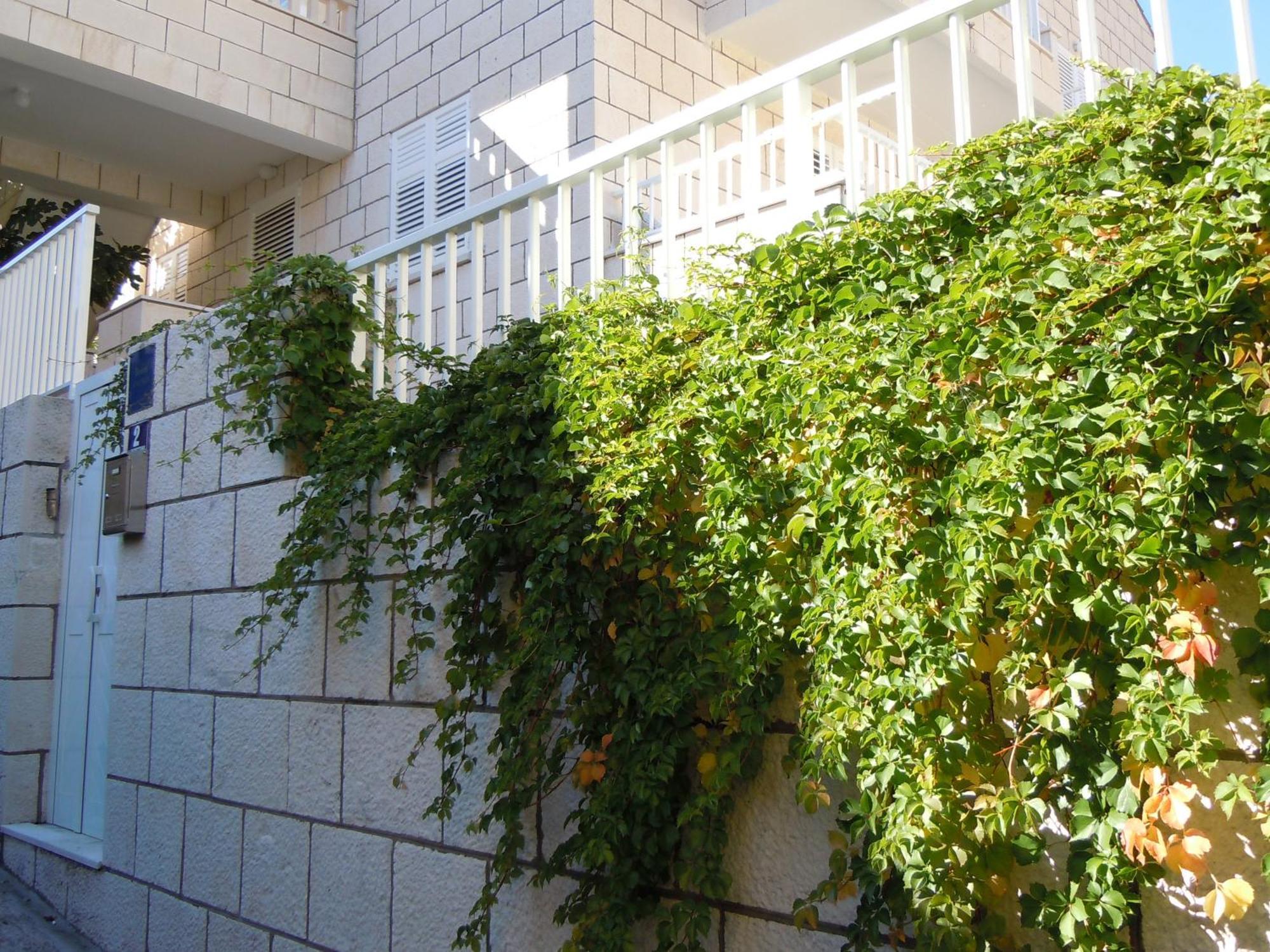 Central Apartment دوبروفينك المظهر الخارجي الصورة