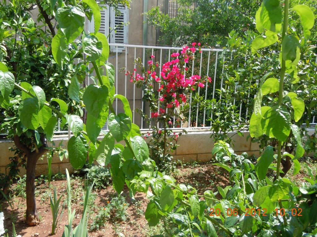 Central Apartment دوبروفينك الغرفة الصورة