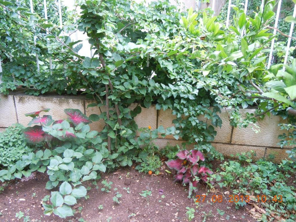 Central Apartment دوبروفينك المظهر الخارجي الصورة